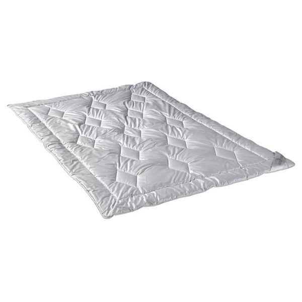 ROYAL DREAM Luxus Kamel WK 2 - Betten Raymond Hildesheim