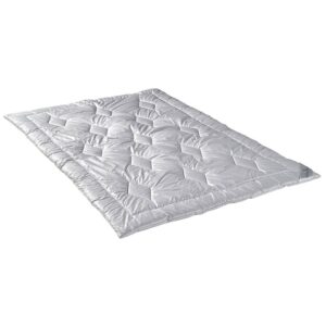 ROYAL DREAM Luxus Kamel WK 4 - Betten Raymond Hildesheim