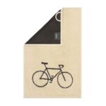 17 Bicycle